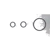 Mercedes CL55 CL65 CL500 CL600 S55 32Pcs ABC Valve Block Seal Kit (2000-2006)