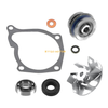Water Pump / Impeller Seals Gasket Kit / Polaris Sportsman 400 (2001–2014)