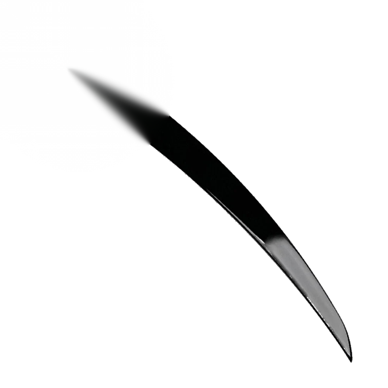 Tesla Model 3 (2017-2023) Glossy Black Rear Trunk Spoiler Wing