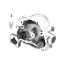 Honda Foreman / Pioneer TRX500 / TRX420 Cylinder Head (2005-2020)