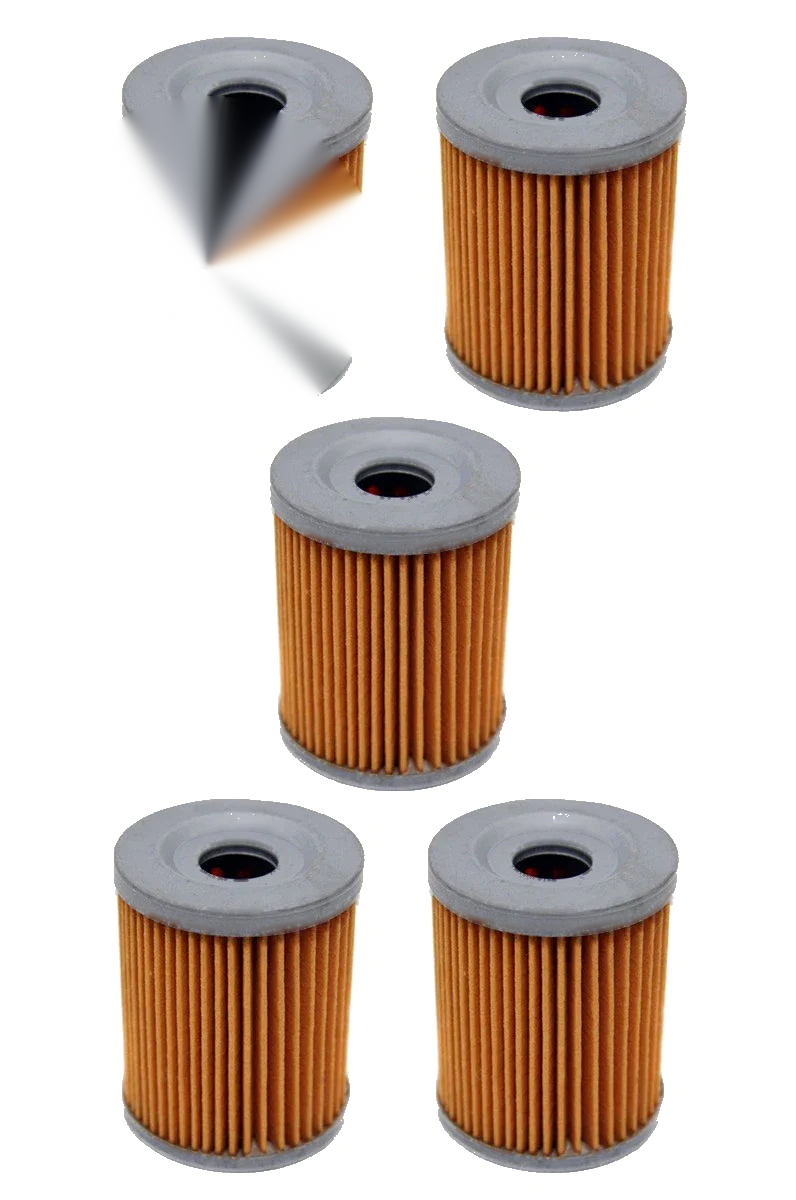 Suzuki Ozark 250 5 Pack Oil Filters (2002–2014)