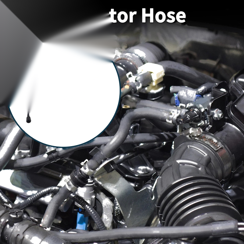 BMW 230i Base 2.0L Radiator Hose (2022 - 2025)