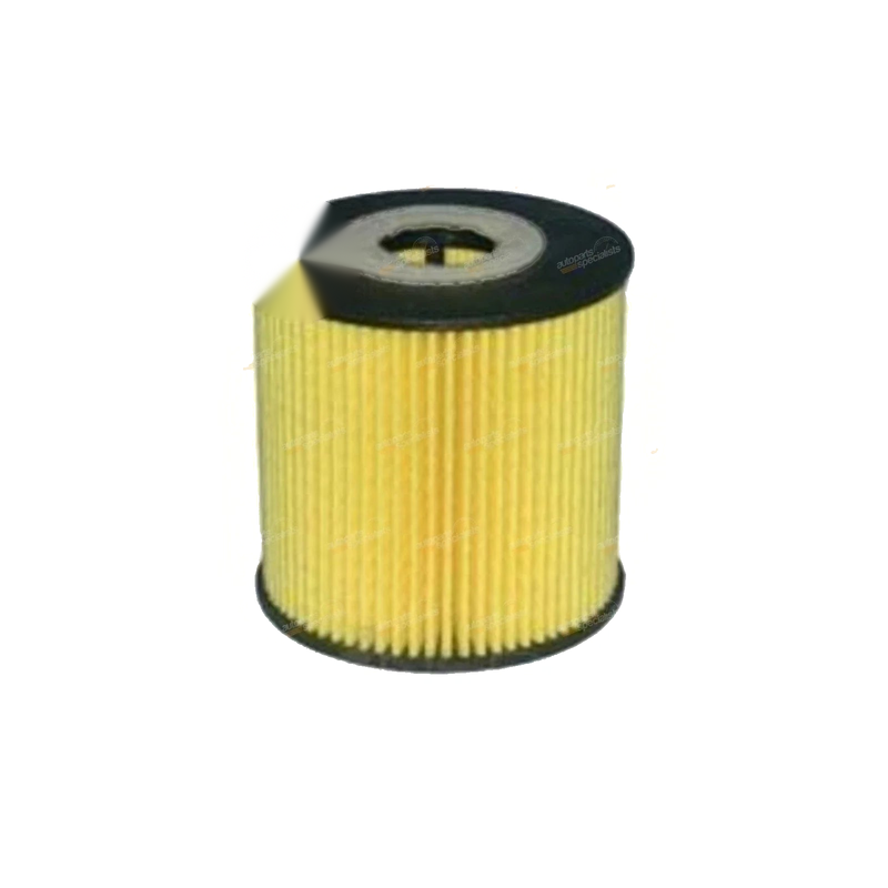 Nissan X-Trail T30 2.2L YD22DDTi Engine oil filter (2001 - 2007)