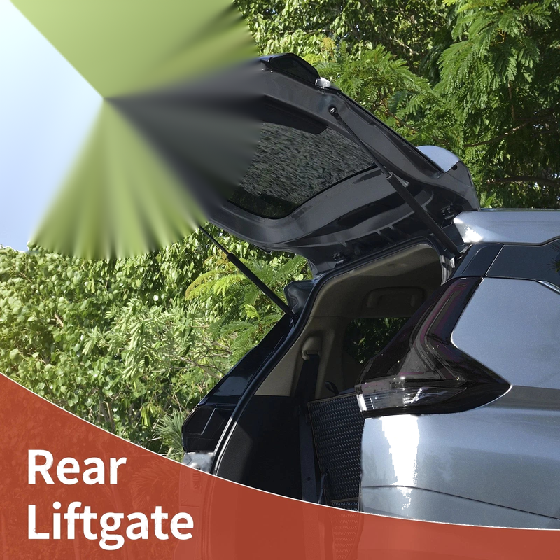 Ford Focus Hatchback Rear Hatch Lift Supports (2012-2018)