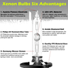 Car Headlight Bulb / 2pcs / Xenon Lamp Parts White 6000K