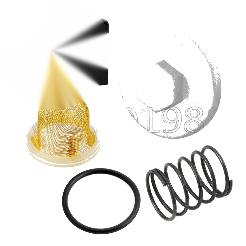 Yamaha Bear Tracker 250 Oil Drain Plug CAP & Strainer & Spring (1999–2004)