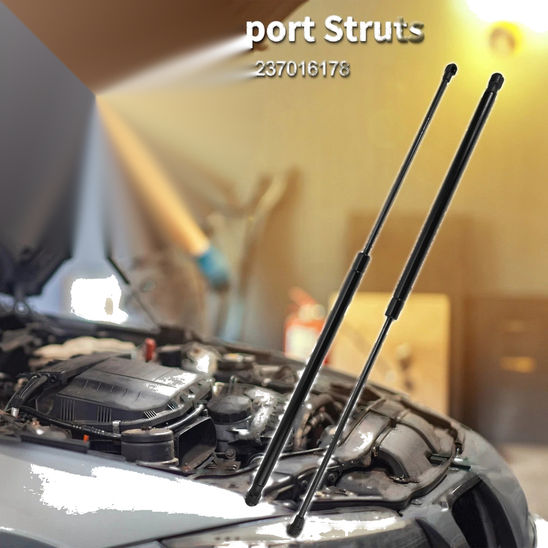 BMW Z4 Convertible / Coupe Hood Lift Supports Struts (2003-2008)