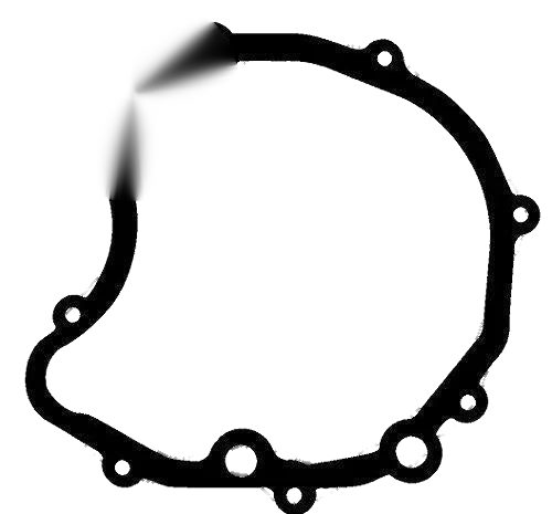 Suzuki LT230 Flywheel Stator Gasket