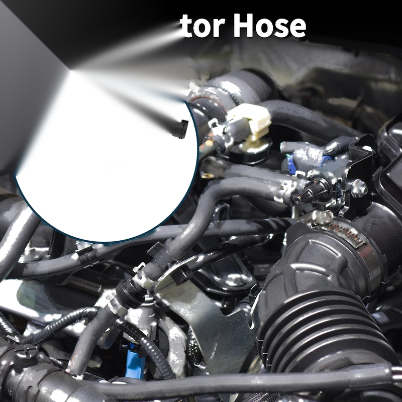 BMW 545i 4.4L Radiator Hose (2004-2005)