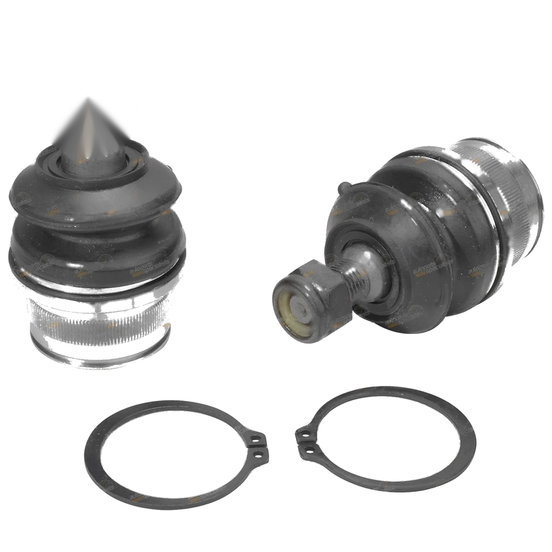 Ford Falcon EA EB ED EF EL XH Lower Ball Joints (1988-1999)