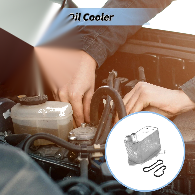 Land Rover LR2 L6 3.2L Engine Oil Cooler (2008-2010)