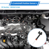 Ford F-150 5.0L (2011-2017) 1 x Sensor Crankshaft Position Sensor
