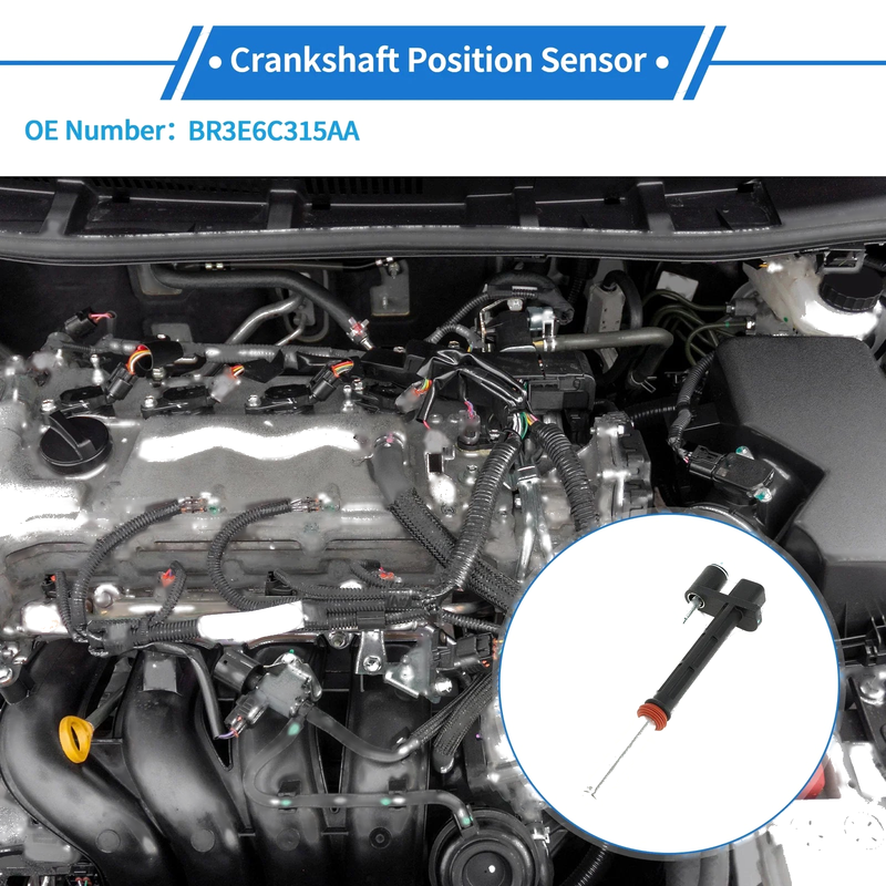 Ford F-150 5.0L (2011-2017) 1 x Sensor Crankshaft Position Sensor