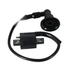 Adly ATV 50 VG Air-Cooled (2009-2015) & 50 II Utility XXL Ignition Coil (2008-2010)