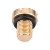 BMW E36 E46 E39 E90 Brass Vent Screw Radiator Coolant (1992-2013)