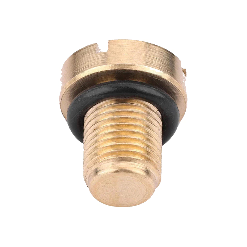 BMW E36 E46 E39 E90 Brass Vent Screw Radiator Coolant (1992-2013)