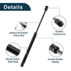 Ford F-150 Pickup Hood Lift Supports Struts (2009-2014)
