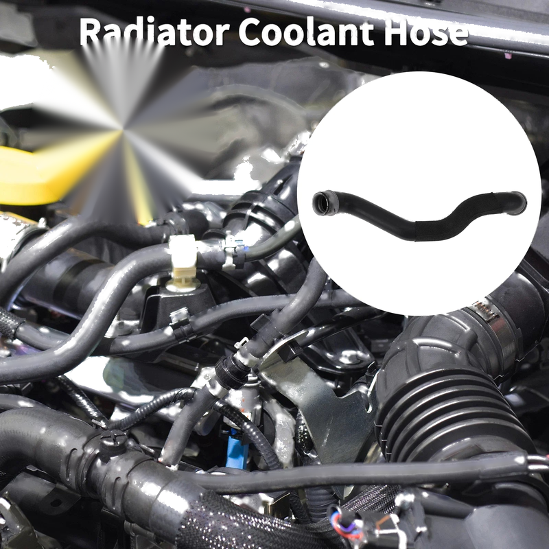 Mercedes-Benz C216 W221 S63 AMG CL63 Radiator Coolant Hose (2008-2010)