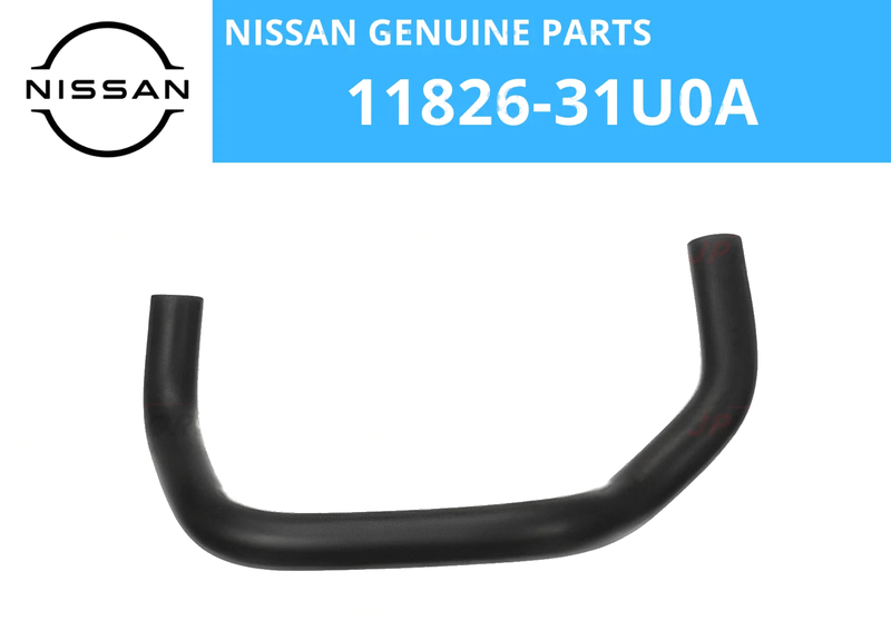 Nissan Maxima Blow By Hose (1995–1999)