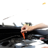 Ford F-150 Oil Dipstick (2004-2008)
