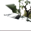 Hyundai Sonata Roof Spoiler (2015)