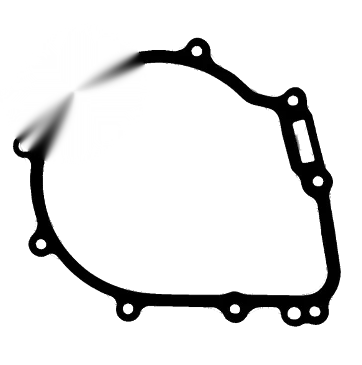 Benelli 600 BJ600GS BN600 TNT600 Case Side Cover Gasket