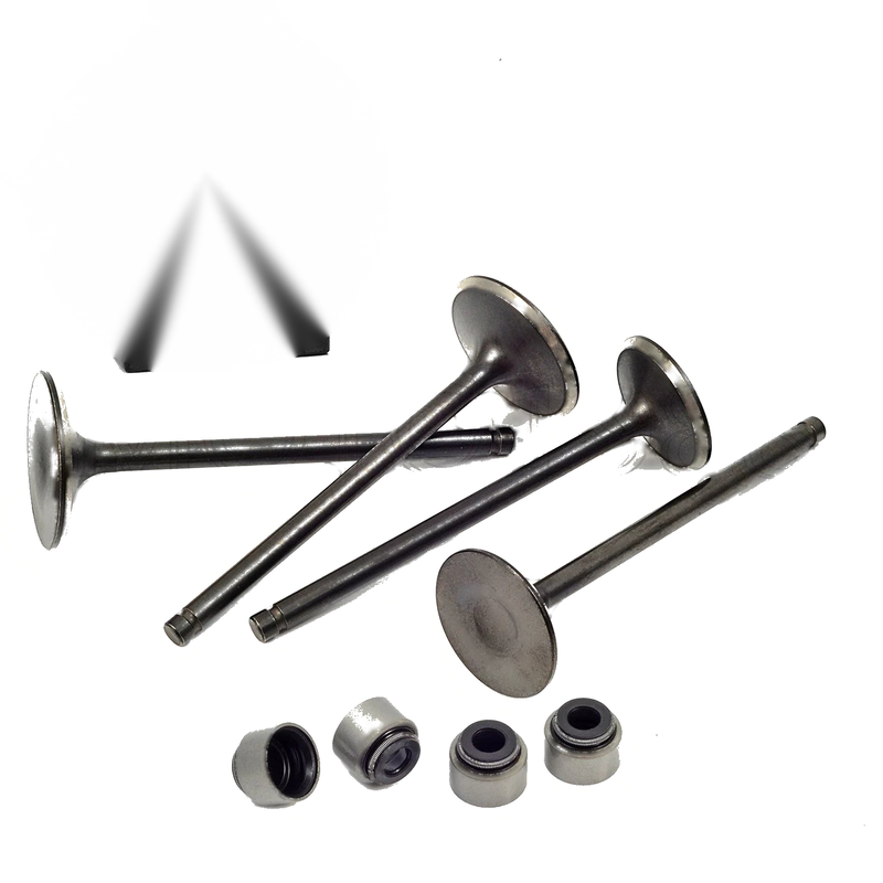 Polaris Predator 500 Outlaw 500 Intake & Exhaust Valve Seals (2003-2007)