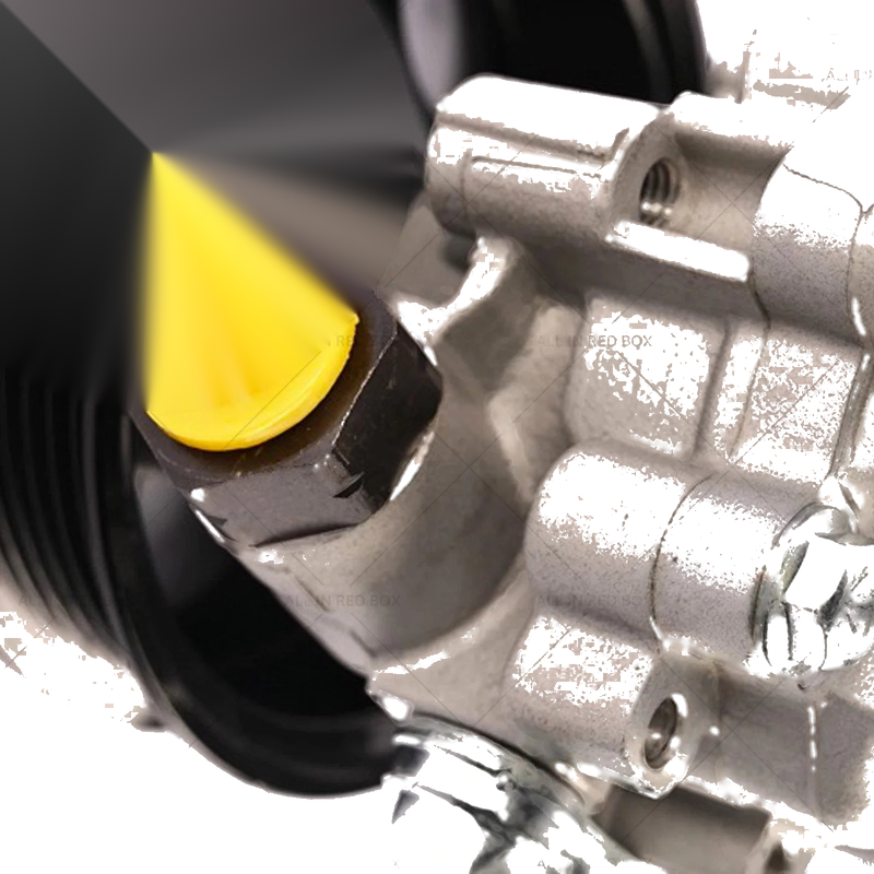 Holden Colorado Power Steering Pump & Pulley (2012 - Present)
