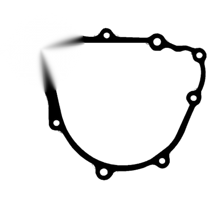 Honda NX250 NX 250 AX-1 AX1 Flywheel Stator Gasket