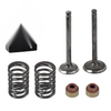 Club Car DS 1992-Up FE290 Intake Exhaust Valve Set w/ Seals & Springs
