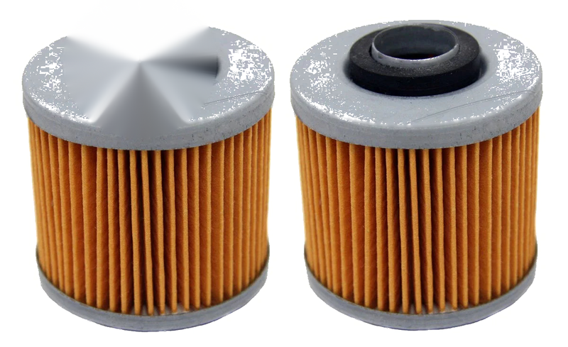 Yamaha Grizzly 600 4x4 YFM600FW & Raptor 700 YFM700R Oil Filters 2 x