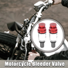 Honda Yamaha 2 x M5x0.8 Motorcycle Fork Air Bleeder Valve