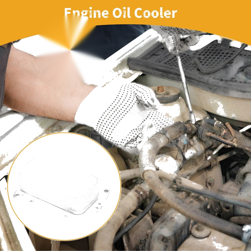 BMW 3 Series Engine Oil Cooler (2012-2019)