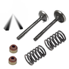 Club Car DS Predent Intake Exhaust Valve Seal Spring (1992–2024)