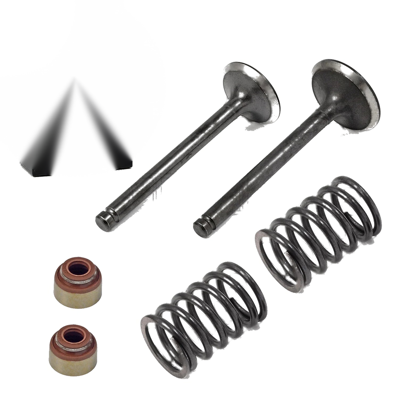 Club Car DS Predent Intake Exhaust Valve Seal Spring (1992–2024)