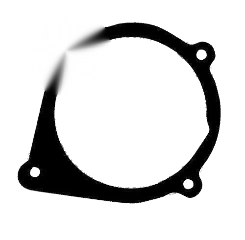 Suzuki LT-50 Stator Flywheel Gasket (2002–2005)