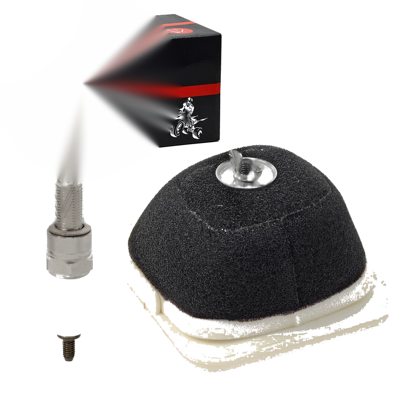 Yamaha TTR125 Air Filter Element & Spark Plug (2000–2003)