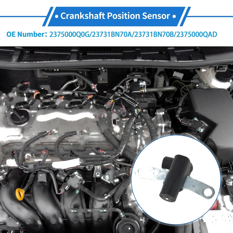 NISSAN Almera Hatchback Crankshaft Position Sensor (2003-2006)