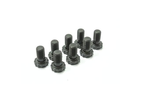 ClutchPro Flywheel Bolt Set 10x1.25x19 73Nm (8Pk) FWBSZ02