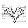 Contitech Timing Belt CT1052