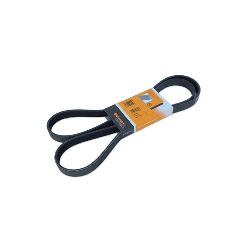 Contitech V Belt AVX10X920