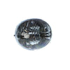 APG All Crash Fog Lamp Drivers Side Certified Suits