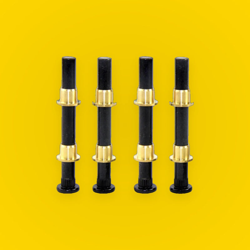 Door Hinge Pin Kit for Toyota Hilux MK3 RN30 LN40 LN50 LN85 LN60 LN100 LN106 1972-1997