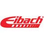 Eibach Eibach 17-18 KTM 300XCW EMS Rear Spring Kit