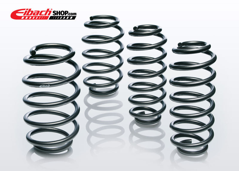 Eibach Pro Kit E10-20-014-17-22