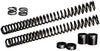 Fox 4WD Suspension Powersports Harley-Davidson AM Dyna STD Fork Spring Kit (image 4)