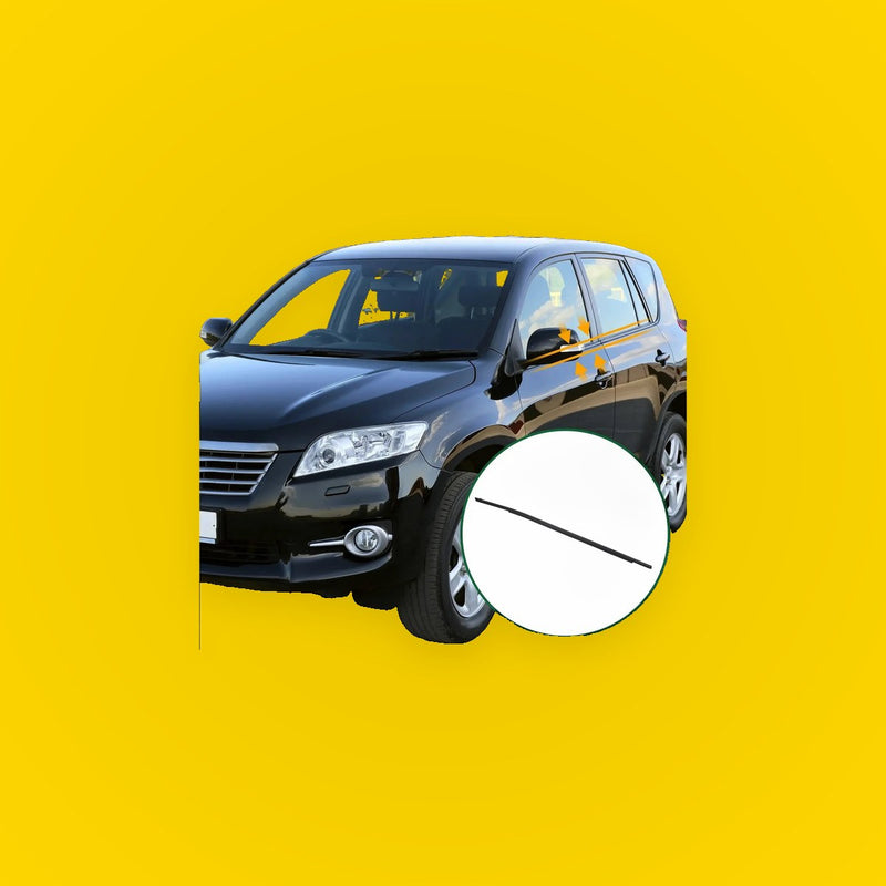 Front Right Weatherstrip Window Seal for Toyota Rav4 (2020)