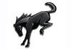 Ford Racing Rear Emblem - Matte Black