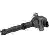 Goss Ignition Coil C530
