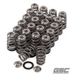 GSC Power Division GSC P-D Nissan GTR VR38DETT Single Conical Valve Spring & Titanium Retainer Kit (Race Only)